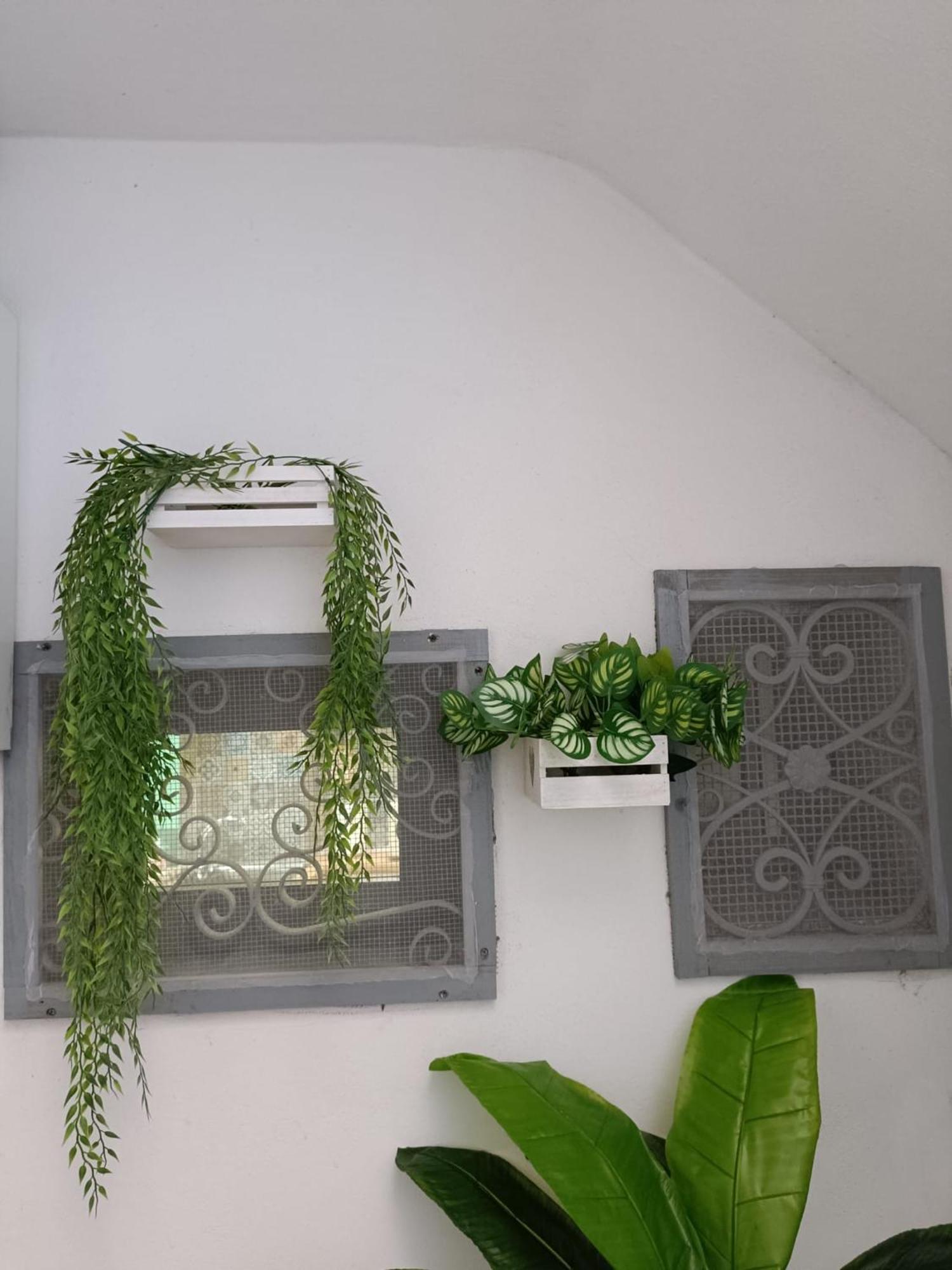 Vascio Napoli Villa Dış mekan fotoğraf